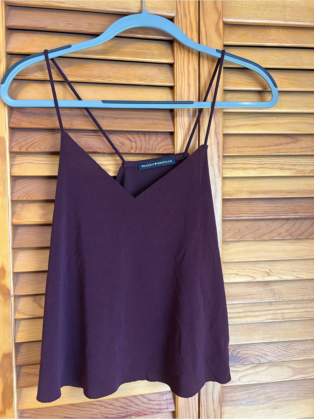 Brandy Melville Plum Spaghetti Strap Cami